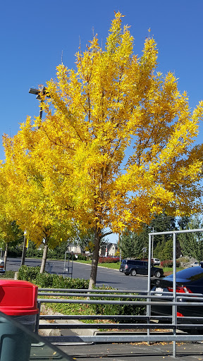 Supermarket «WinCo Foods», reviews and photos, 9518 176th St E, Puyallup, WA 98375, USA