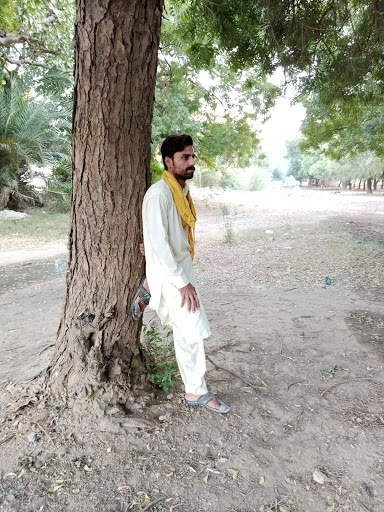 Eye Care Center «Target Optical», reviews and photos, 1101 W Jackson Blvd, Chicago, IL 60607, USA