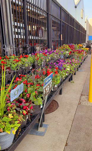 Department Store «Walmart Supercenter», reviews and photos, 16 Old Gick Rd, Saratoga Springs, NY 12866, USA