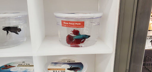 Petco image