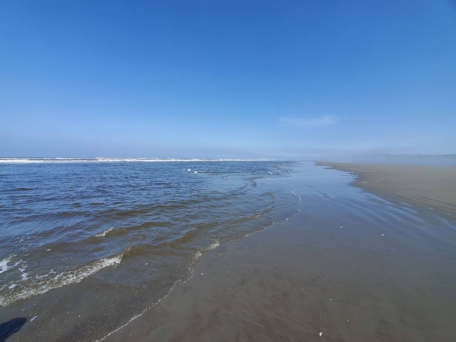Zdjęcie Copalis Beach - popularne miejsce wśród znawców relaksu