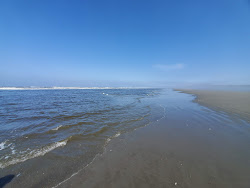 Zdjęcie Copalis Beach - popularne miejsce wśród znawców relaksu