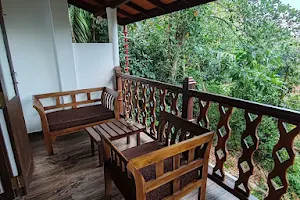 The Jungle view - yoga | restaurant | rooms image