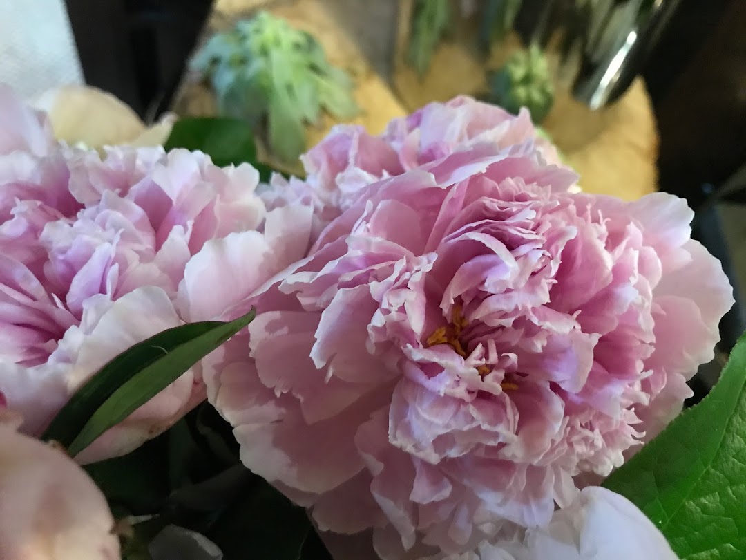 Gramercy Park Flower