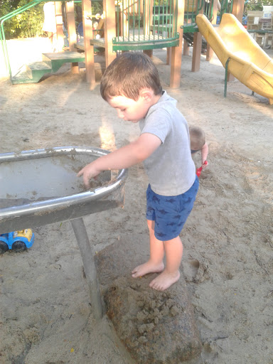 Park «Hodgkins-Curtin Park», reviews and photos, Holland St, Somerville, MA 02144, USA