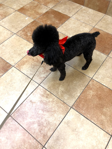 Pet Supply Store «PetSmart», reviews and photos, 3 McKenna Rd, Arden, NC 28704, USA