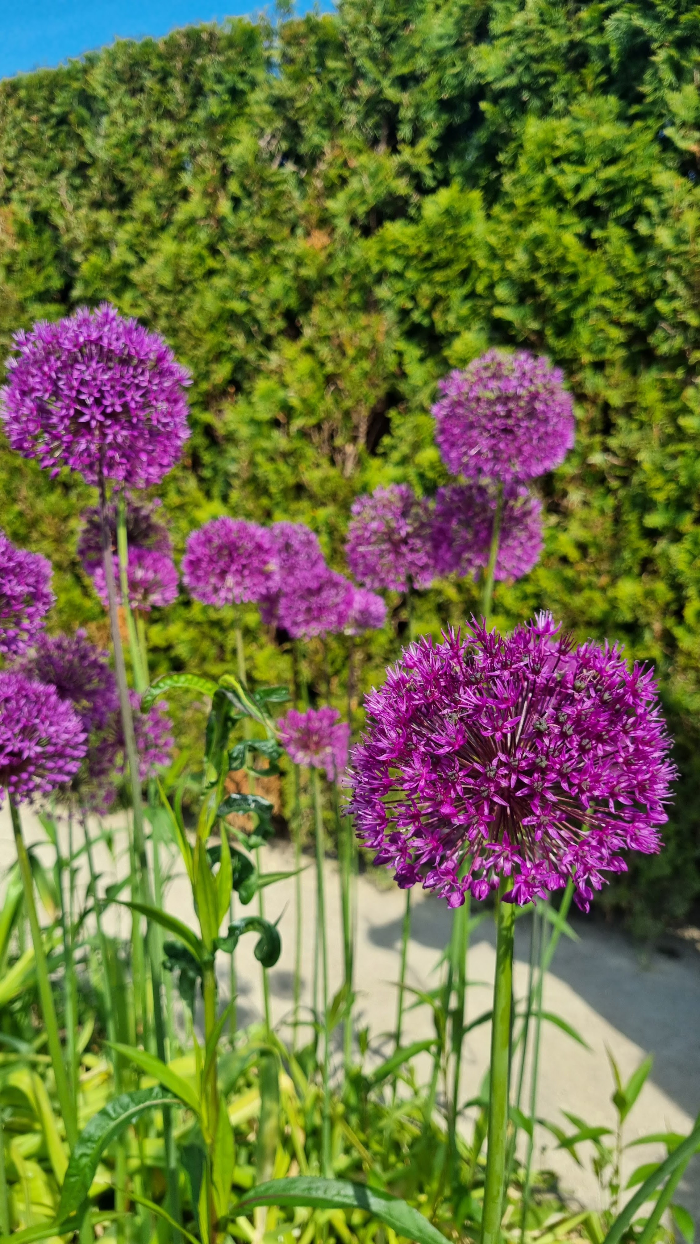 Photo n° 1 de l'avis de Cyd.d fait le 22/07/2023 à 15:50