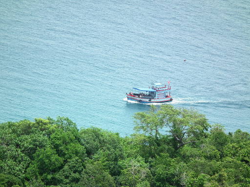 Tattoo Shop «Diving Swallow Tattoo LLC», reviews and photos, 264 14th St, Oakland, CA 94612, USA