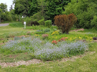 Monarch Waystation Butterfly Garden