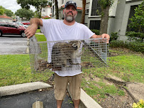 Critter 911. Fast Rat & Wildlife Removal.
