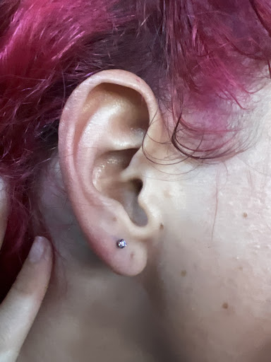 Explore jurassic park tattoo ideas, creative tattoo ideas in Willow Grove, available at Tattoo GalaxyWillow Grove Piercing & Tattoos