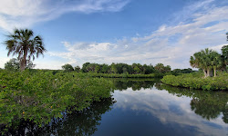 Clam Bayou Nature Preserve - Kayak Launch