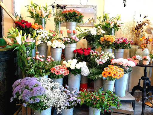 Floral Curiosities - Artisan Florist
