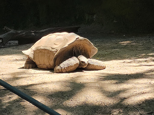 Zoo «Bronx Zoo», reviews and photos, 2300 Southern Blvd, Bronx, NY 10460, USA