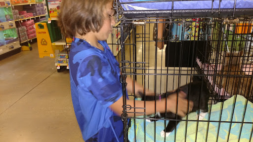 Pet Supply Store «PetSmart», reviews and photos, 1800 Evans Rd, Melbourne, FL 32904, USA