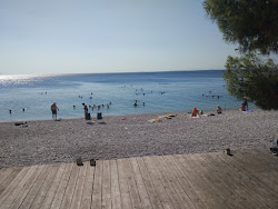 Photo de Pine trees beach - endroit populaire parmi les connaisseurs de la détente