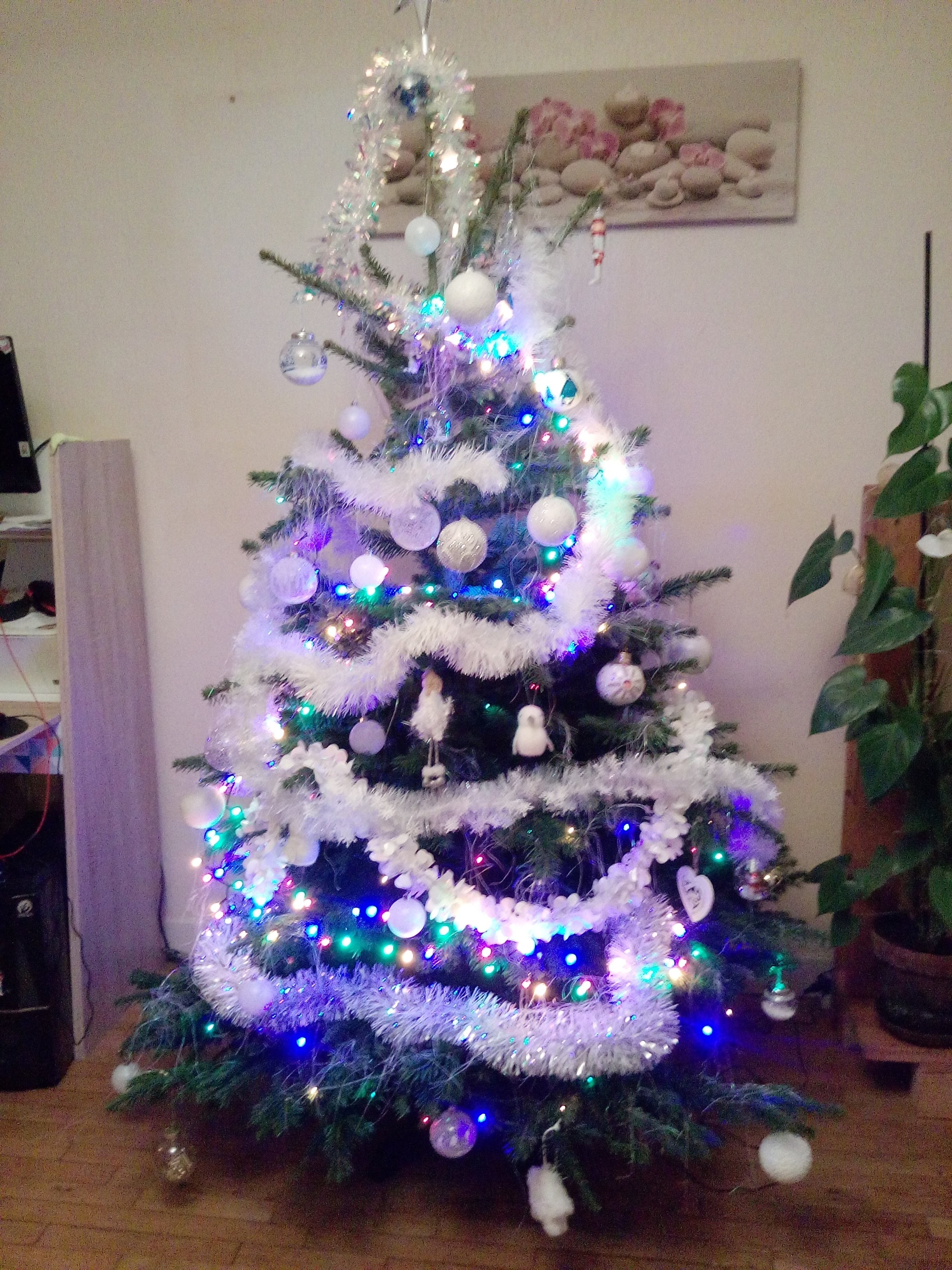 Photo n° 2 de l'avis de Catherine.l fait le 15/12/2019 à 20:15