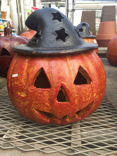 Florist «Pletschers», reviews and photos, 641 Old Hwy 8 SW, New Brighton, MN 55112, USA