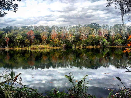 Park «Alafia River State Park», reviews and photos, 14326 S County Rd 39, Lithia, FL 33547, USA