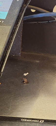 Mexican Restaurant «El Pollo Loco», reviews and photos, 5160 E Olympic Blvd, Los Angeles, CA 90022, USA