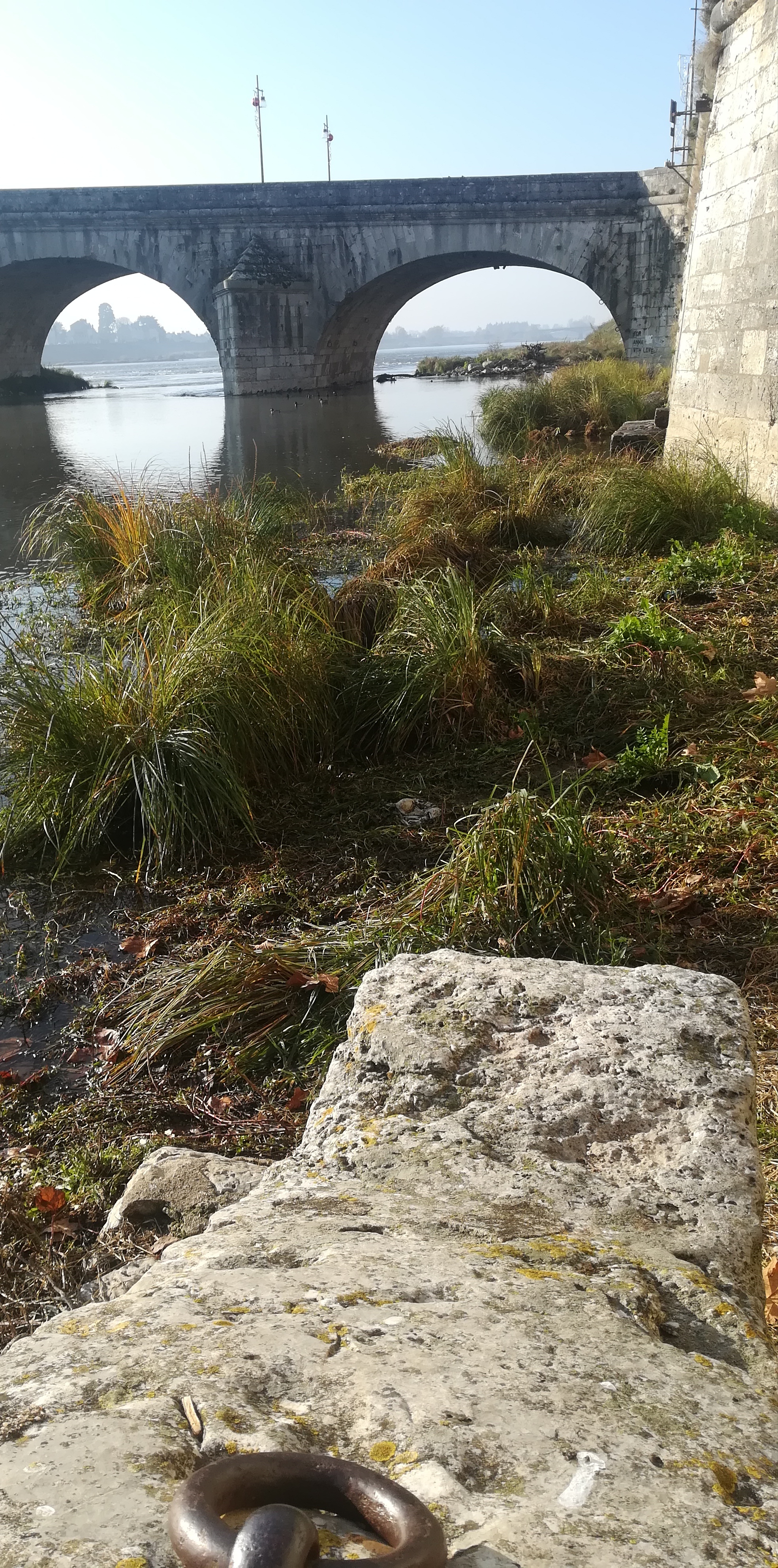 Photo n° 2 de l'avis de Ysabel. fait le 15/12/2018 à 09:23