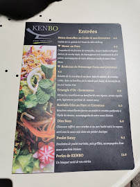 Restaurant de spécialités asiatiques KENBO à Lyon (la carte)