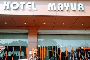 Hotel Mayur image