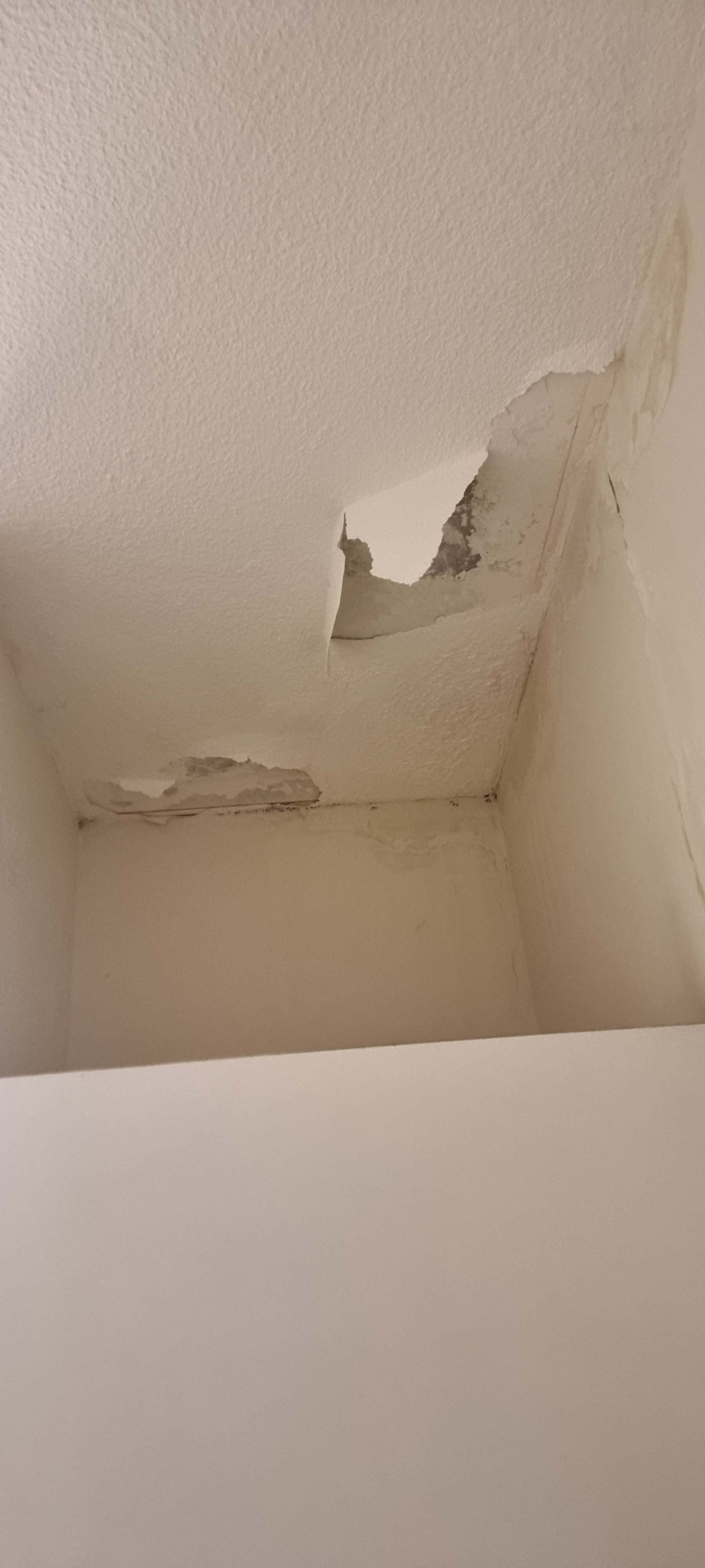 Photo n° 1 de l'avis de M. fait le 05/01/2024 à 09:25