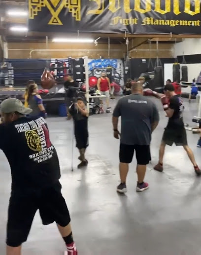 Texas Hard Hitters Boxing Club Powered By Movida
