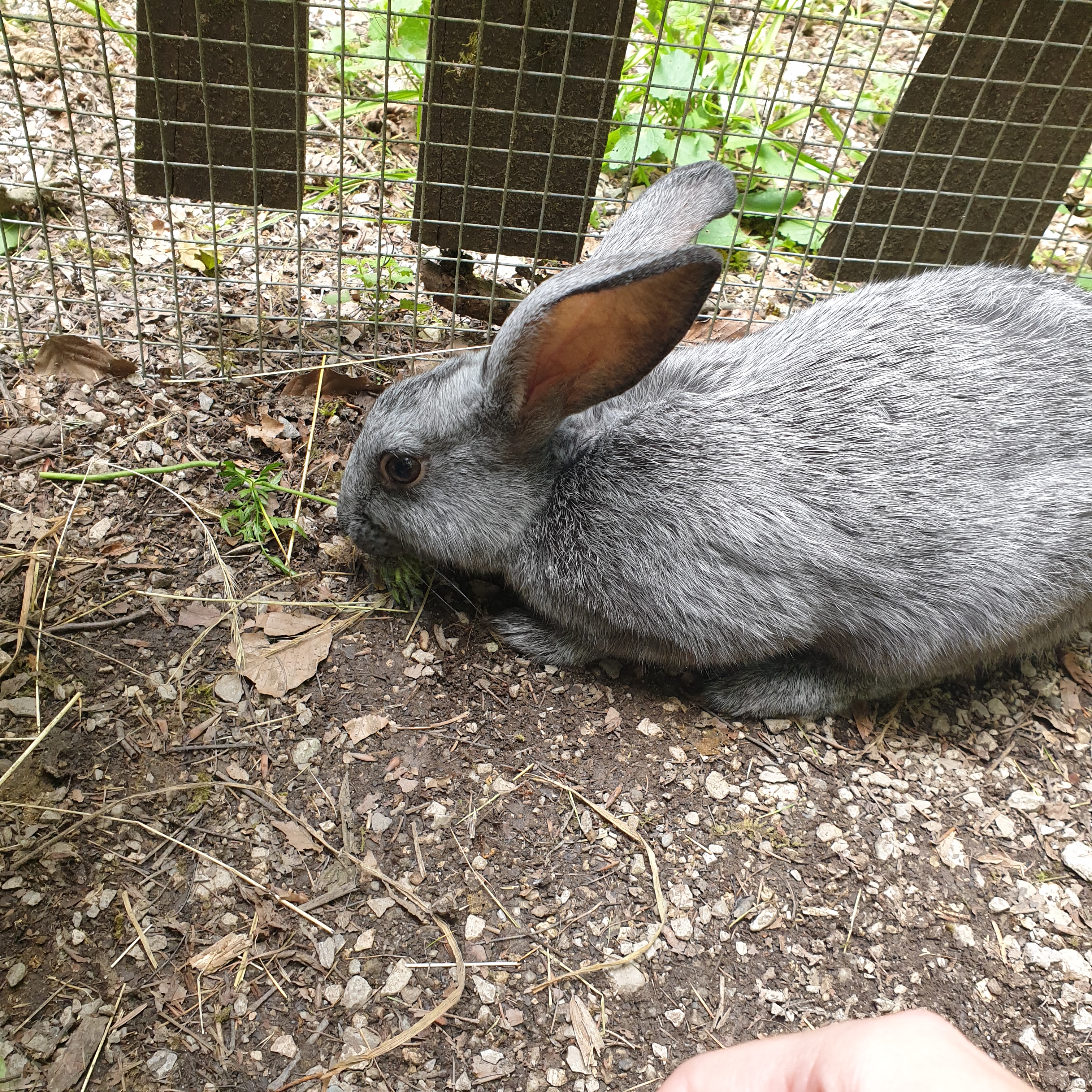 Photo n° 3 de l'avis de Manon.R fait le 17/10/2022 à 07:25