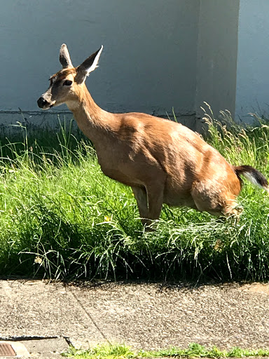 Country Club «Astoria Golf & Country Club», reviews and photos, 33445 Sunset Beach Rd, Warrenton, OR 97146, USA