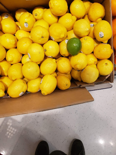 Grocery Store «Meijer», reviews and photos, 205 S Range Rd, Marysville, MI 48040, USA