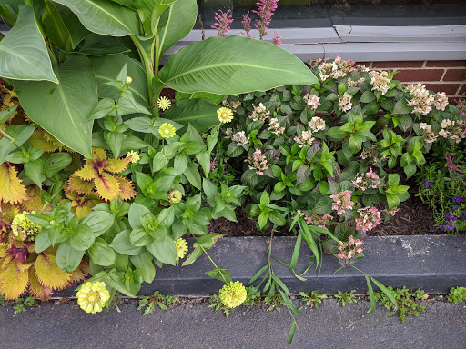 Ice Cream Shop «Owowcow Creamery», reviews and photos, 4105 Durham Rd, Ottsville, PA 18942, USA