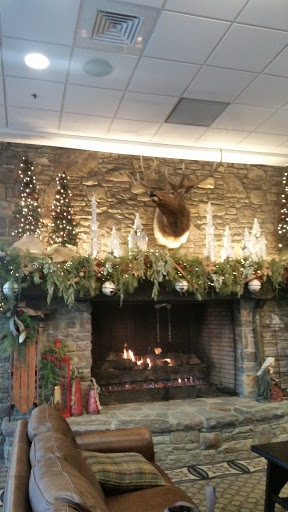 Non-Profit Organization «Samaritans Purse», reviews and photos