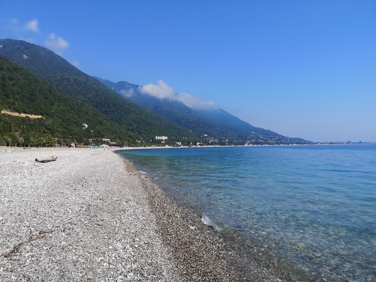 Gagra beach的照片 具有有点干净级别的清洁度