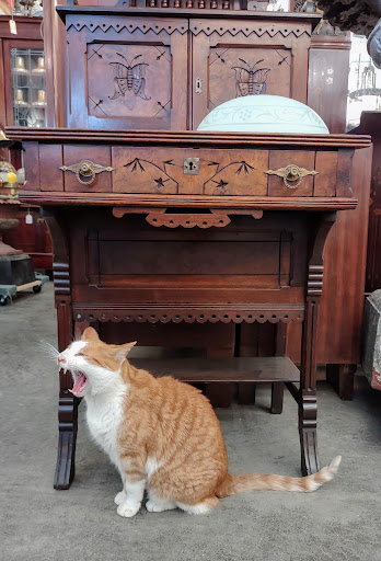 Antique Store «Architectural Antiques Of Indianapolis», reviews and photos, 5000 West 96th Street, Indianapolis, IN 46268, USA