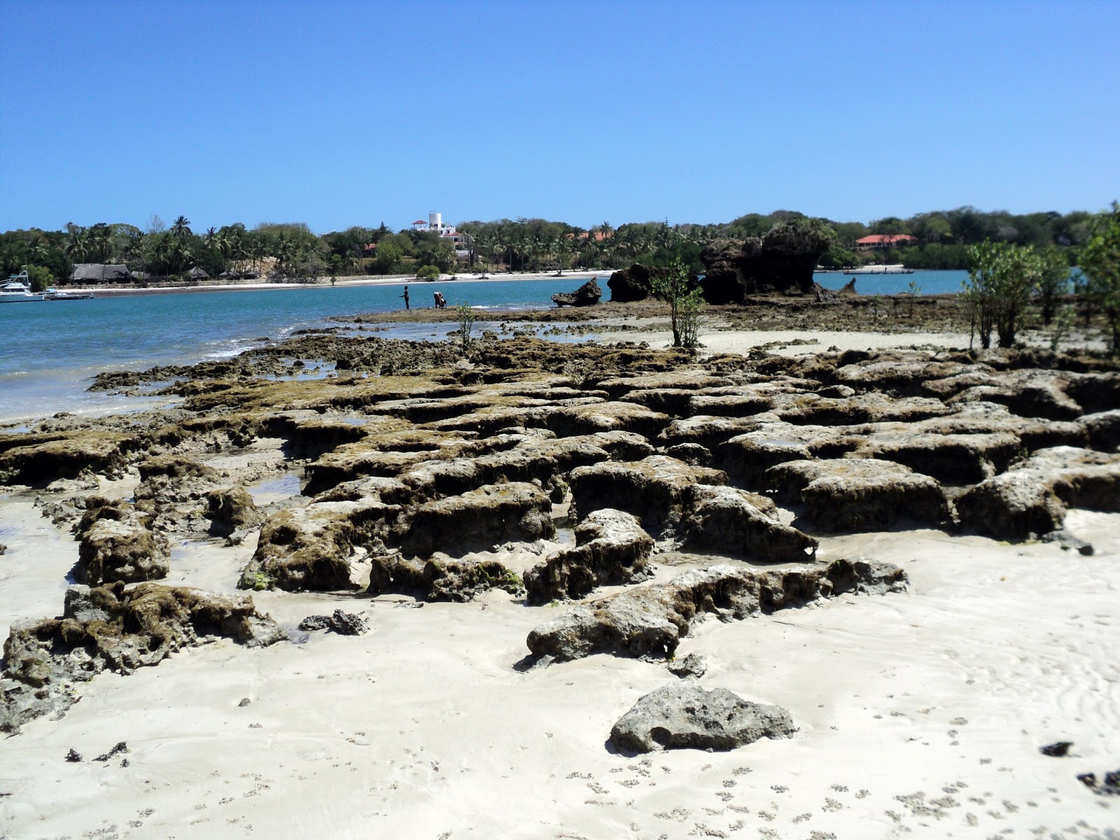 Foto av Maweni Beach med medium nivå av renlighet