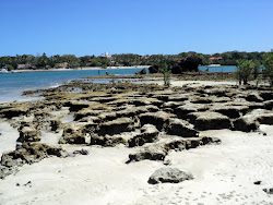 Maweni Beach'in fotoğrafı imkanlar alanı
