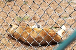 Popcorn Park Animal Refuge image