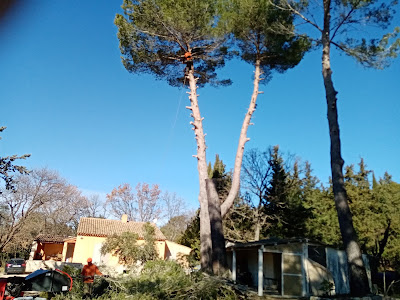 Haccouch Elagage abattage et création de jardin à Pertuis