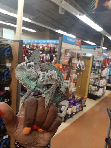 Pet Supply Store «Petco Animal Supplies», reviews and photos, 8500 Henry Ave #10, Philadelphia, PA 19128, USA