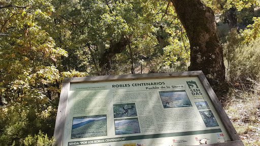 Sociedad Cooperativa Madrileña los Apisquillos en Puebla de la Sierra