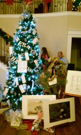 Event Venue «Milltown Historic District», reviews and photos, 501 Oasis St, New Braunfels, TX 78130, USA