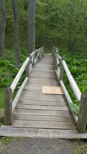 Wedding Venue «The Wadsworth Mansion at Long Hill», reviews and photos, 421 Wadsworth St, Middletown, CT 06457, USA