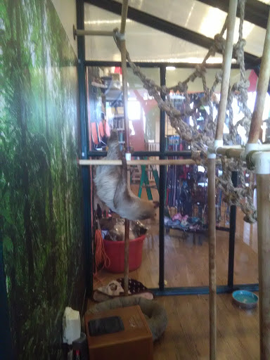 Pet Supply Store «EarthWise Pet Supply - Flower Mound», reviews and photos, 2311 Cross Timbers Rd #307, Flower Mound, TX 75028, USA