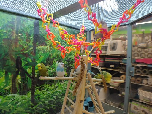 Pet Supply Store «Petco Animal Supplies», reviews and photos, 5120 E Bay Dr, Clearwater, FL 33764, USA
