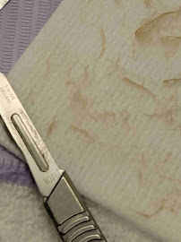 The Serene Skin - Photo 7 - Car repair in Lacey, WA, Olympia