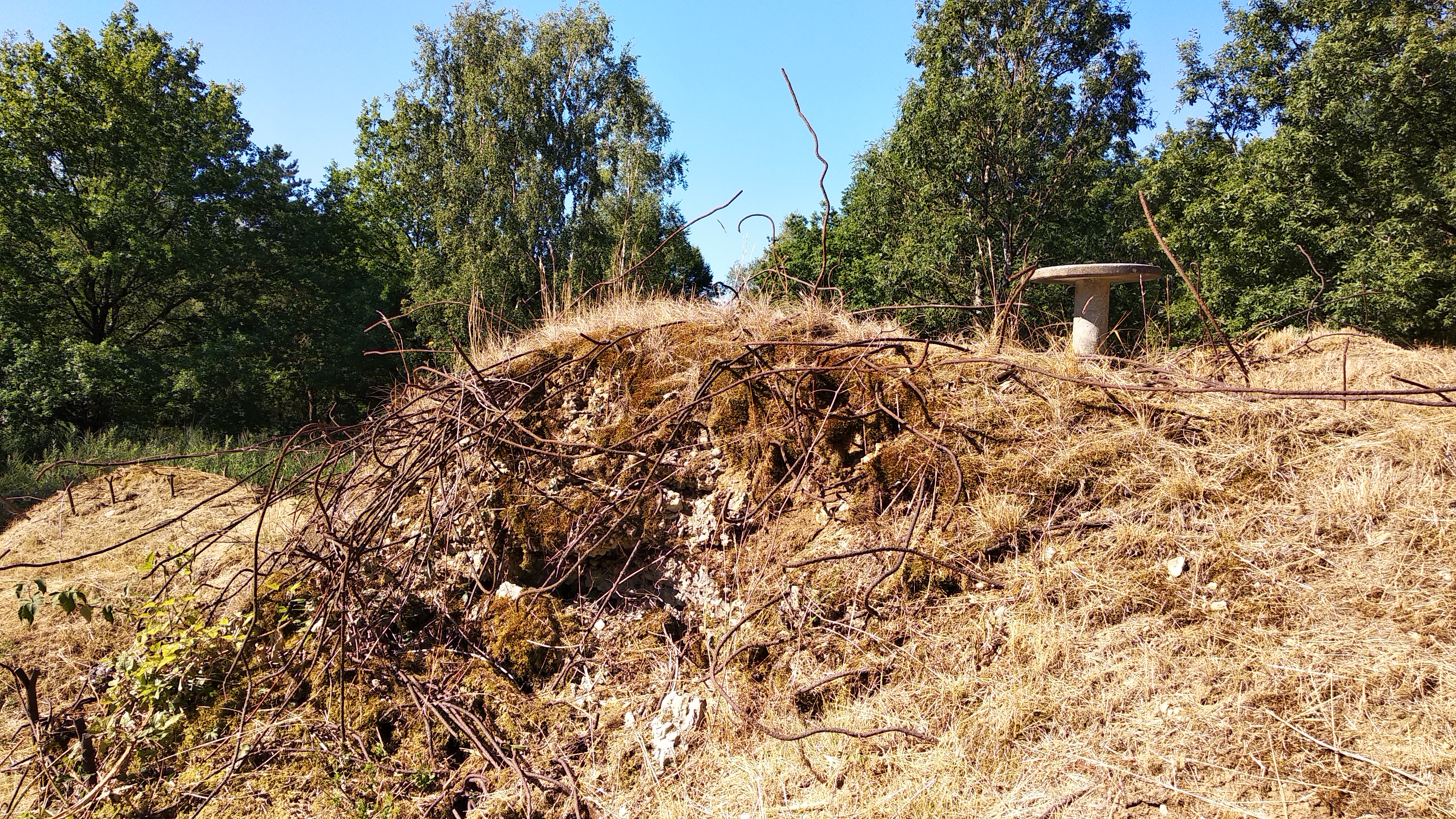 Photo n° 5 de l'avis de Simon.b fait le 18/11/2023 à 23:51