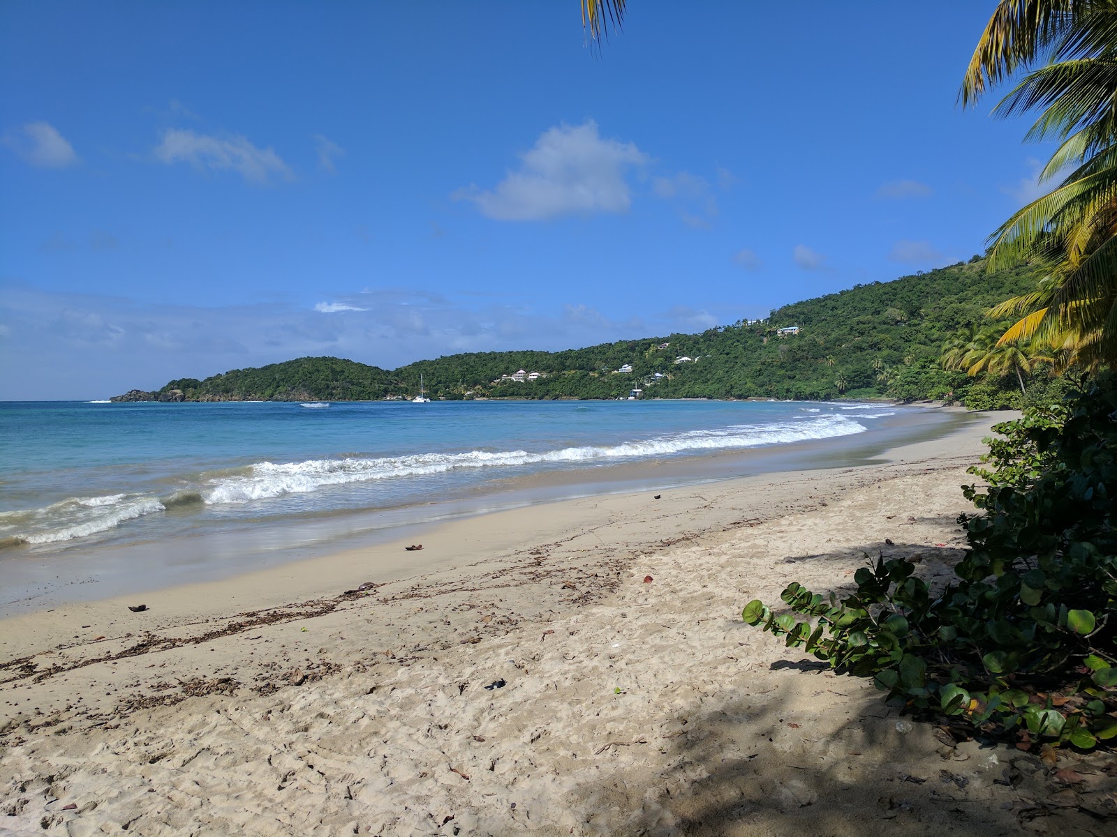 Photo de Brewers Bay beach II avec sable fin et lumineux de surface