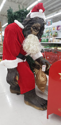 Hardware Store «F.L. Davis Ace Home Center», reviews and photos, 1916 Hwy 25B N, Heber Springs, AR 72543, USA